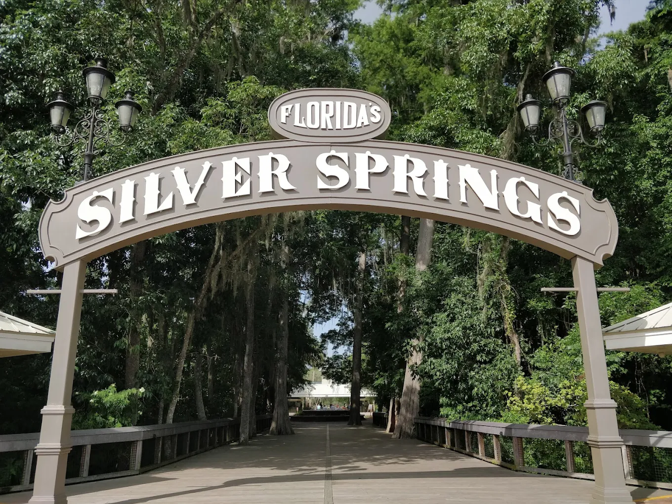 The ornate 'Florida's Silver Springs' entrance arch spanning a wooden boardwalk, flanked by Spanish-moss-draped trees.