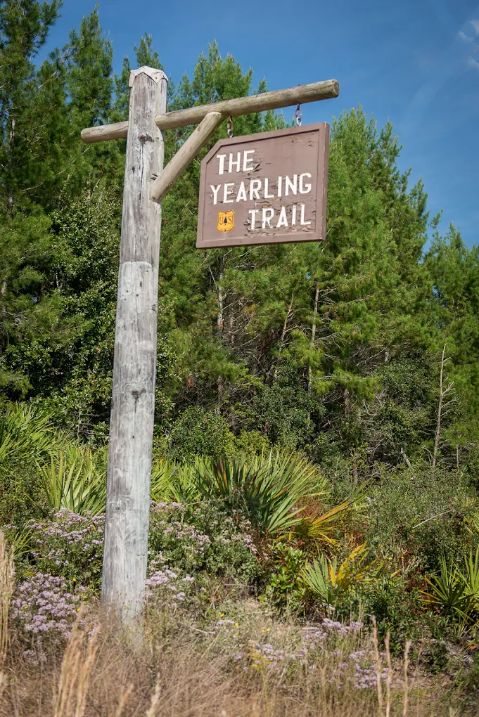 Wooden trail sign reading 'The Yearling Trail' hanging from a rustic post, surrounded by saw palmettos and wildflowers at the forest edge.